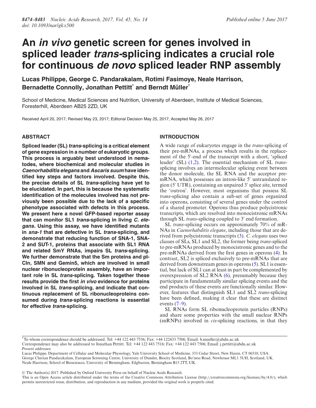 An in Vivo Genetic Screen for Genes Involved in Spliced Leader Trans