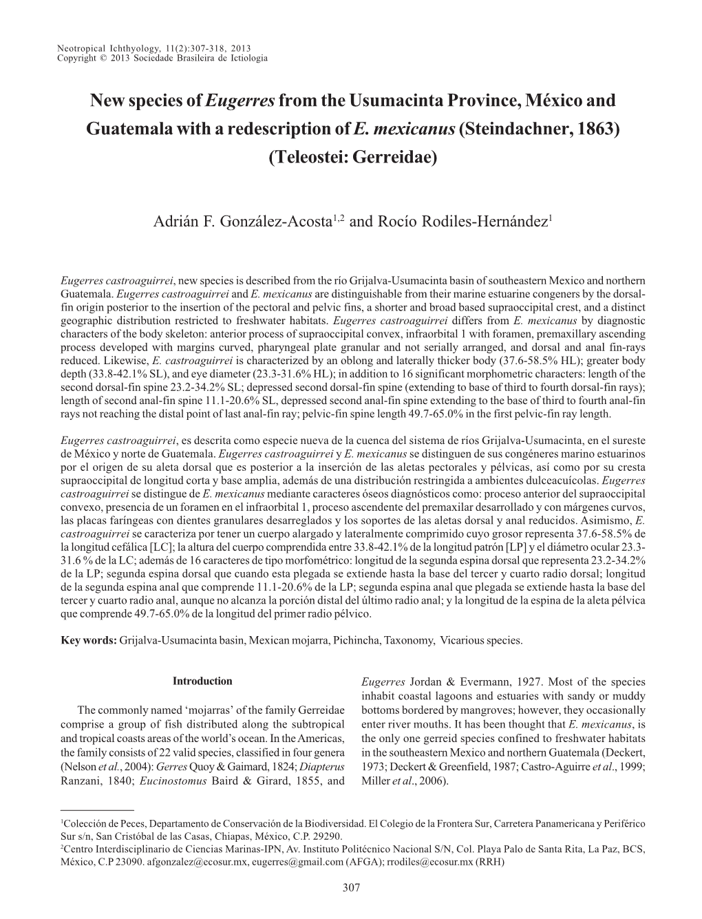 New Species of Eugerresfrom the Usumacinta