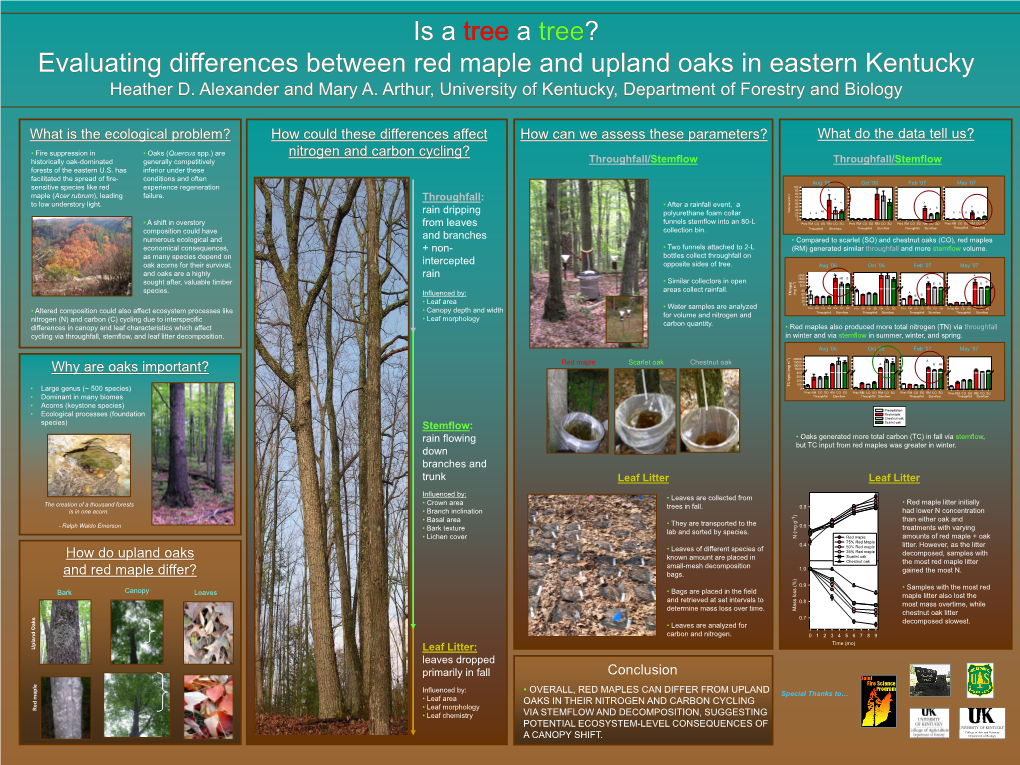 Is a Tree a Tree? Evaluating Differences Between Red Maple and Upland Oaks in Eastern Kentucky Heather D