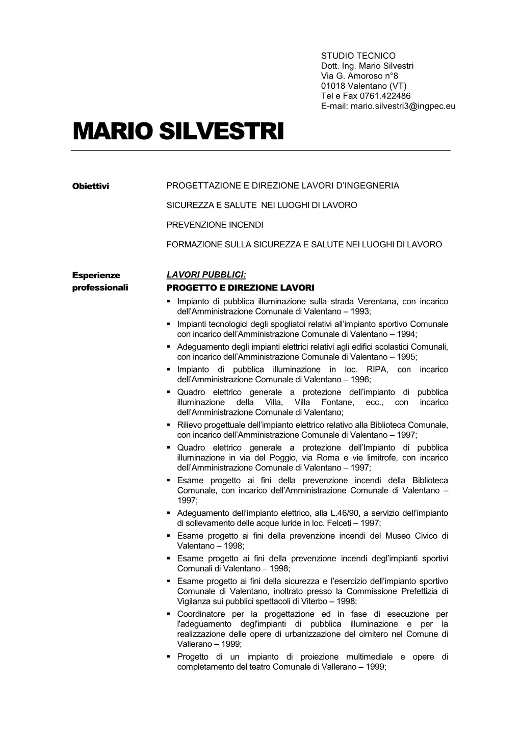 Curriculum in Stile Professionale