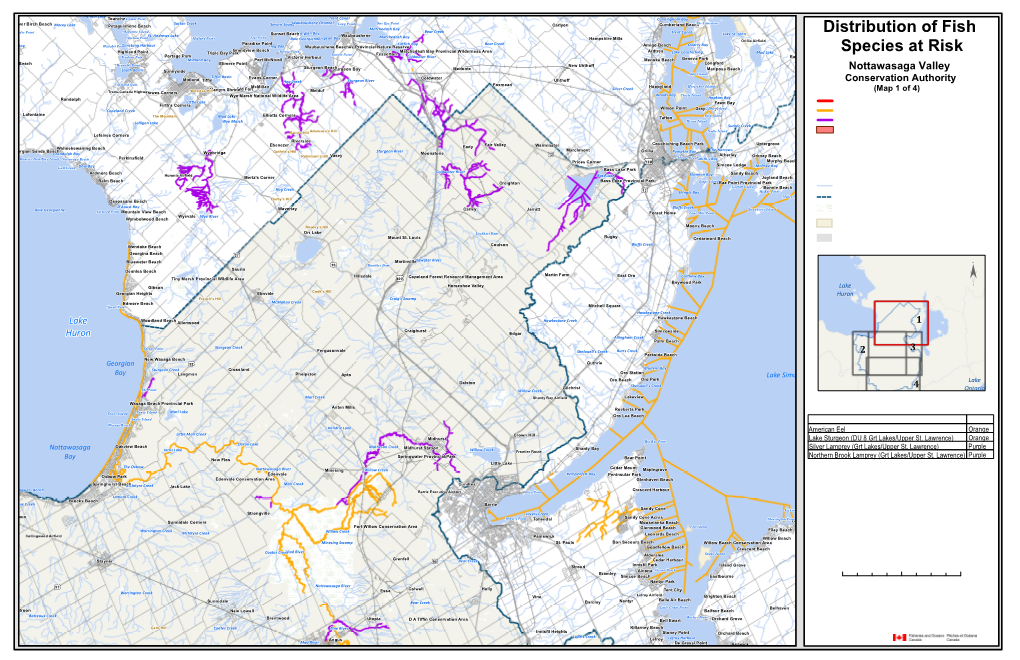 Distribution of Fish Species at Risk