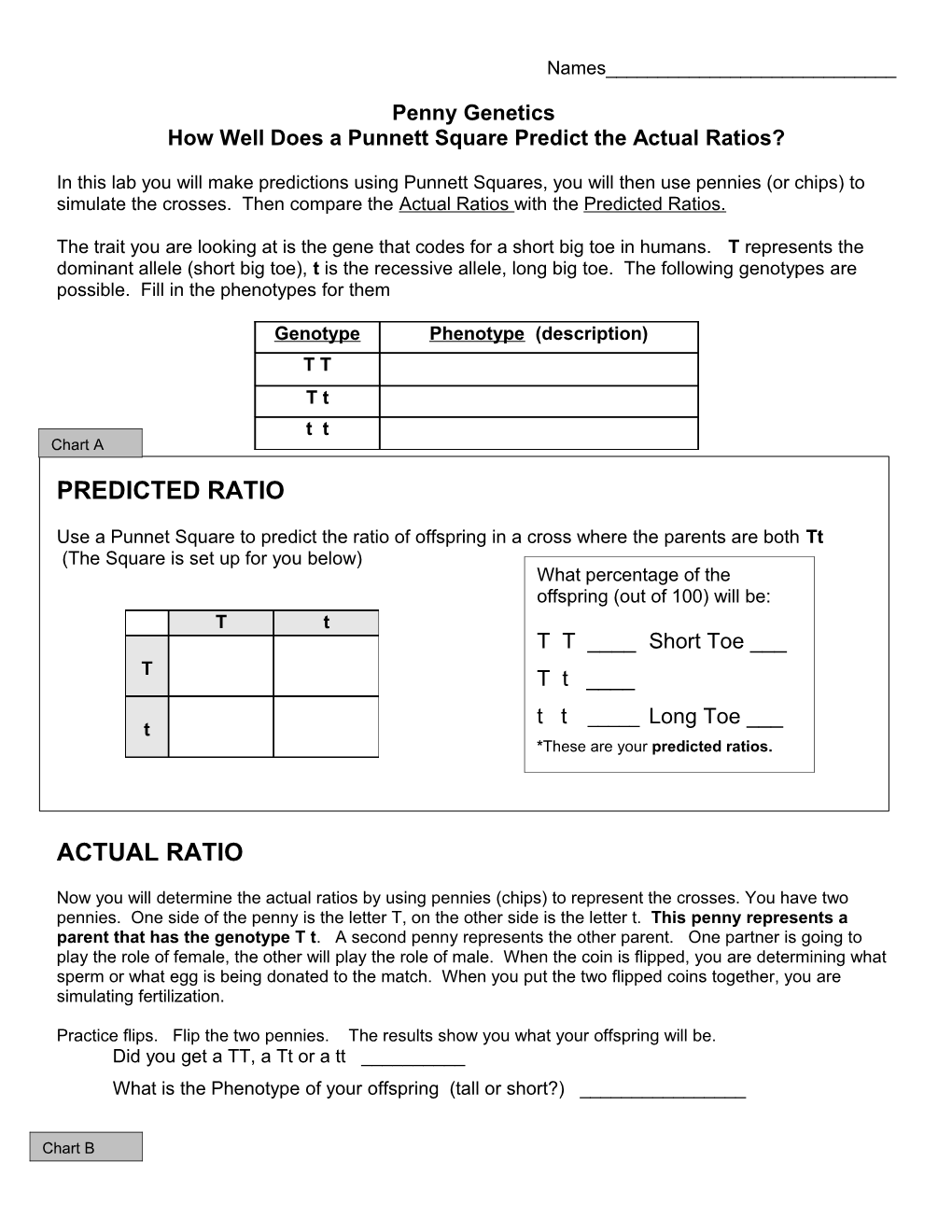 Penny Genetics How Well Does a Punnett Square Predict the Actual Ratios?