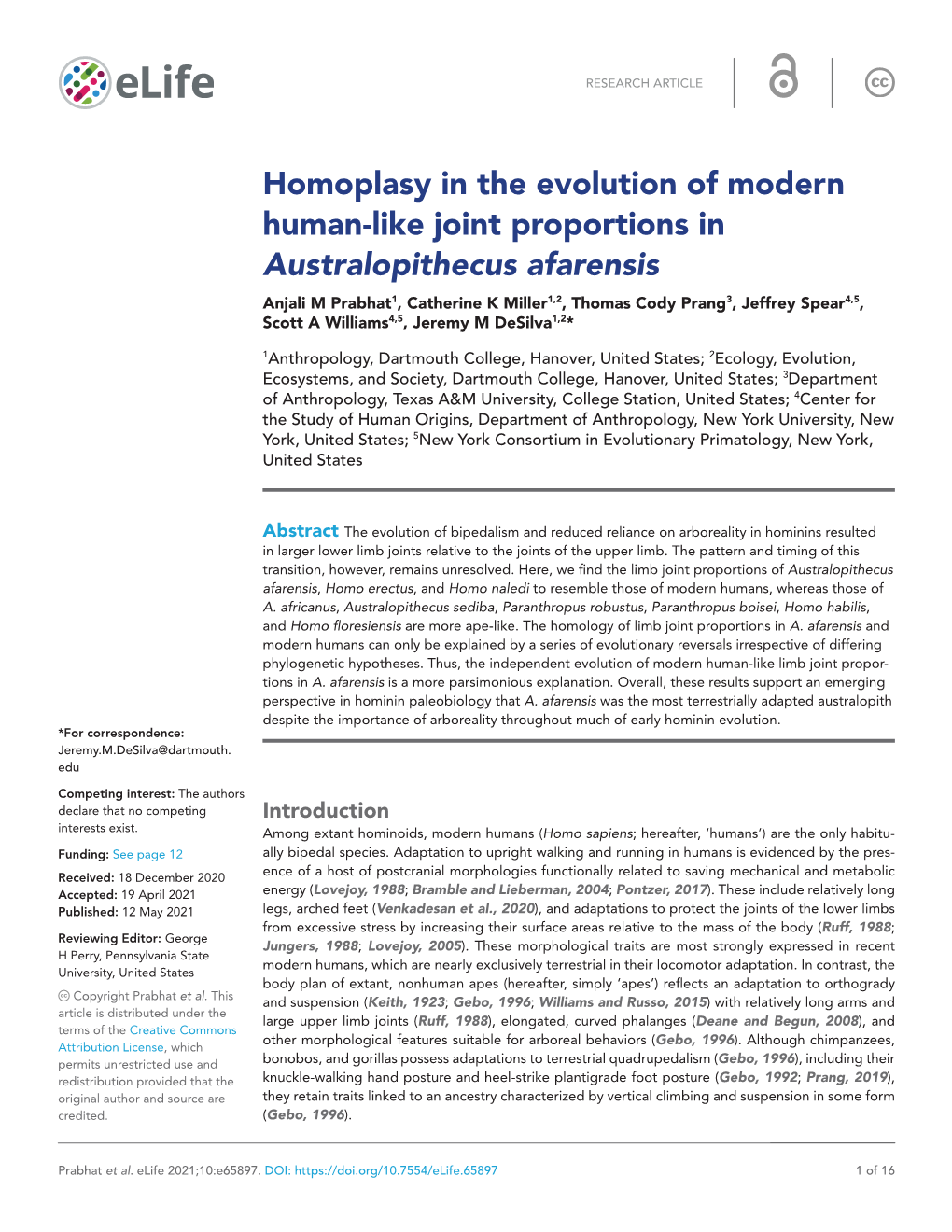 Homoplasy in the Evolution of Modern Human- Like Joint Proportions in Australopithecus Afarensis