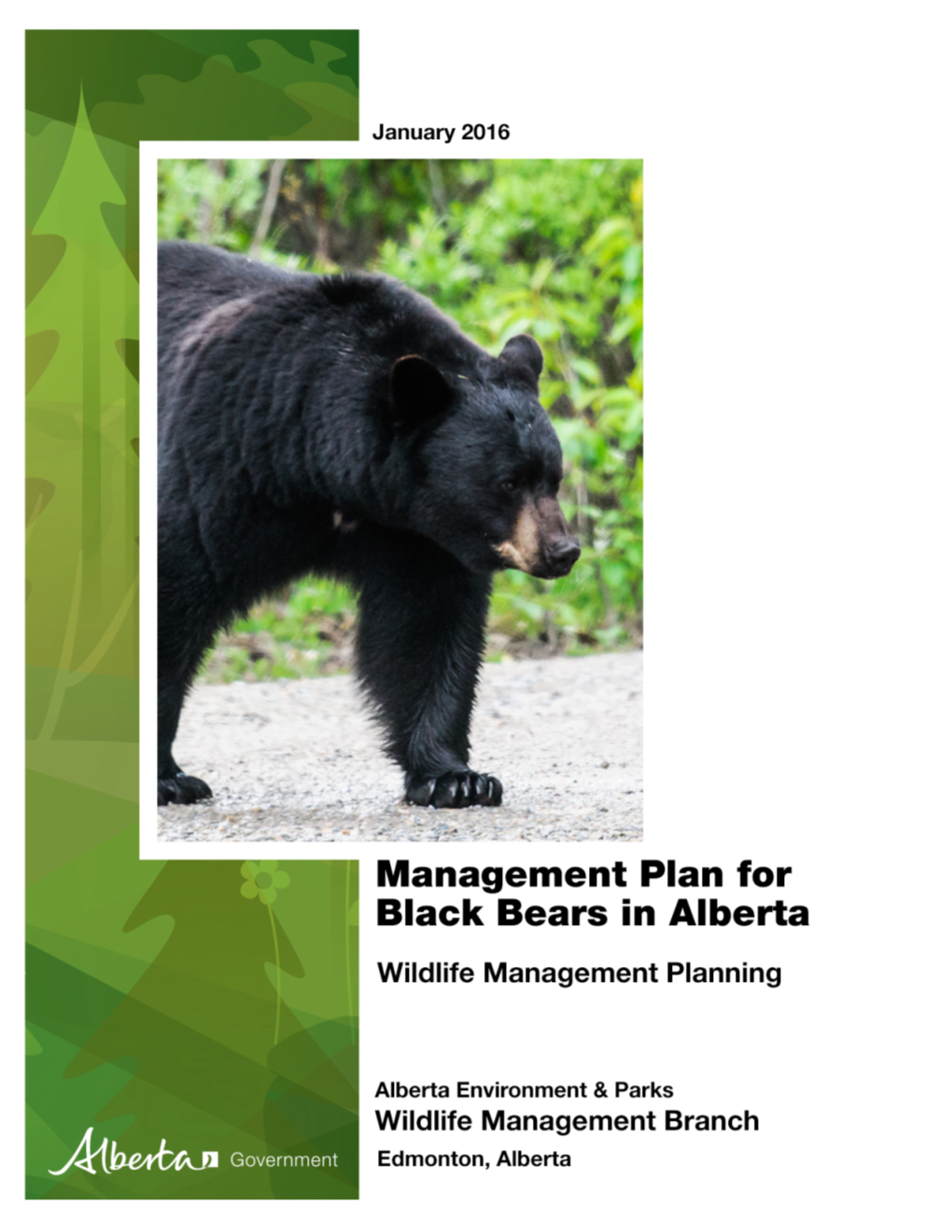 Management Plan for Black Bears in Alberta