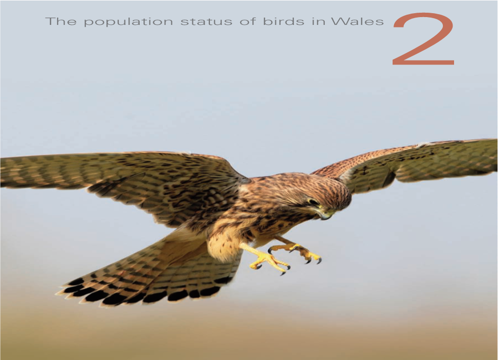 The Population Status of Birds in Wales 2 the Population Status Ben Hall(Rspb-Images.Com) of Birds in Wales 2