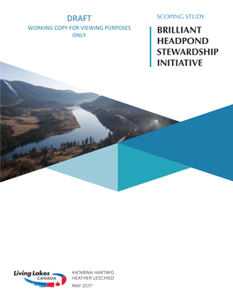 Brilliant Headpond Stewardship Initiative Draft
