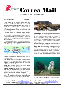 Newsletter No. 302 – November 2014