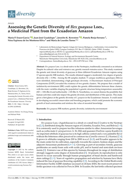 Assessing the Genetic Diversity of Ilex Guayusa Loes., a Medicinal Plant from the Ecuadorian Amazon