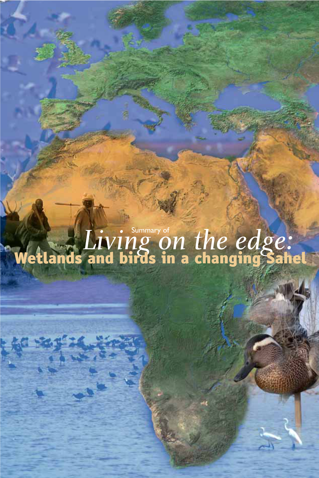 Living on the Edge: Wetlands and Birds in a Changing Sahel