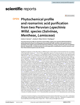 Phytochemical Profile and Rosmarinic Acid Purification from Two Peruvian