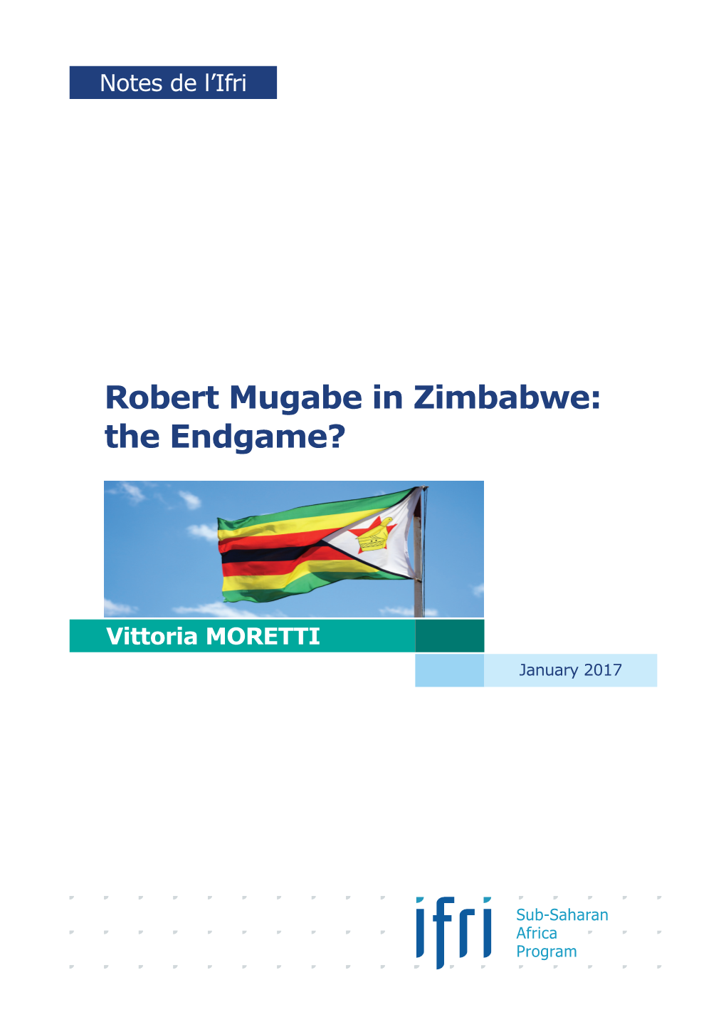 Robert Mugabe in Zimbabwe: the Endgame?