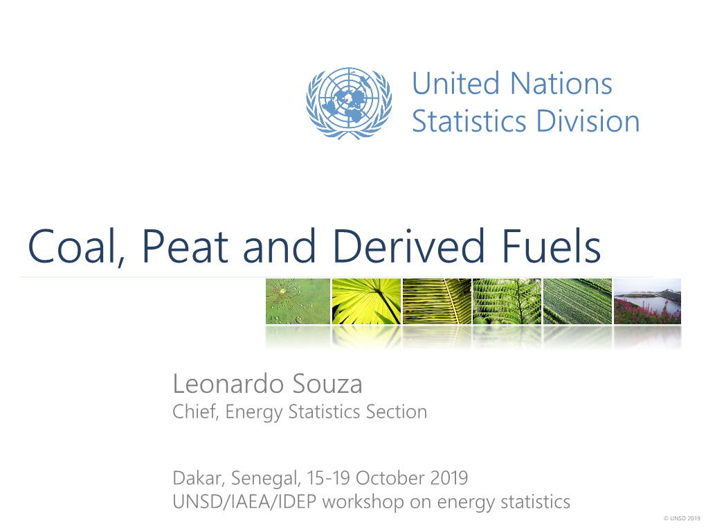 Coal, Peat and Derived Fuels