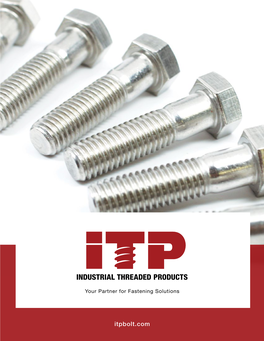 Itpbolt.Com for the Past Three Decades, Service, Integrity and Knowledge Have Remained at the Core of Our Company