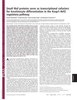 Small Maf Proteins Serve As Transcriptional Cofactors for Keratinocyte Differentiation in the Keap1–Nrf2 Regulatory Pathway