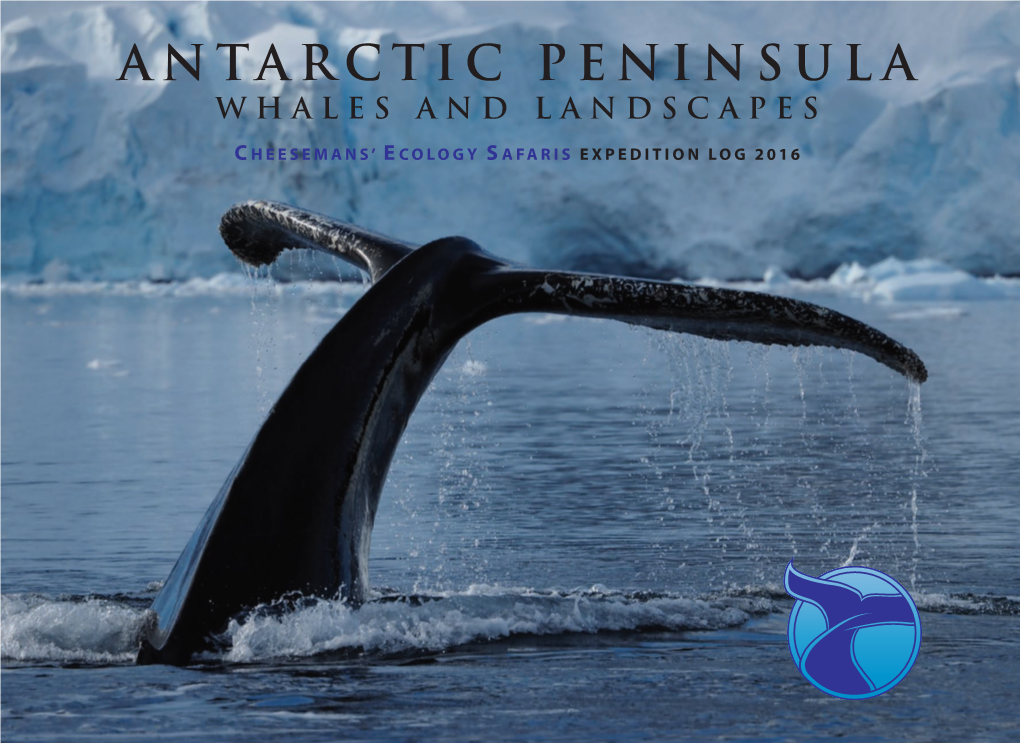 Antarctic Peninsula Whales and Landscapes 10 March to 25 March 2016