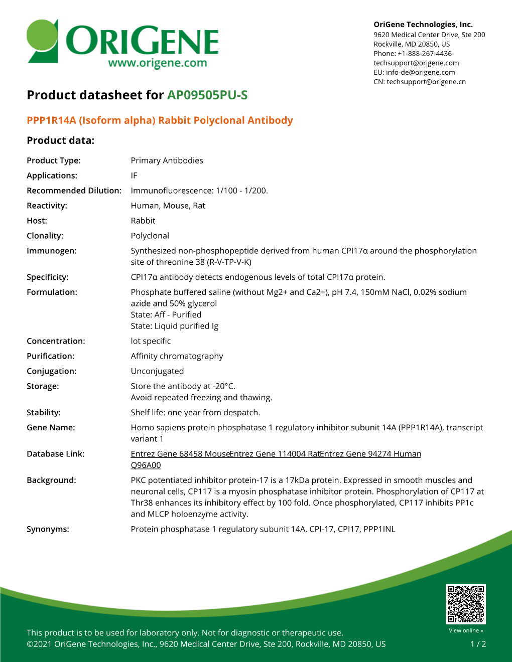 PPP1R14A (Isoform Alpha) Rabbit Polyclonal Antibody – AP09505PU-S