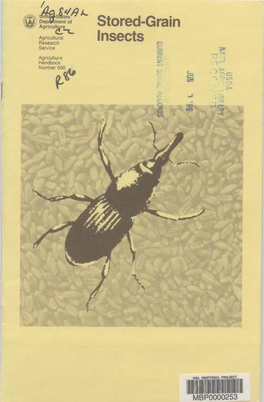 STORED GRAIN INSECTS About Three Thirty-Seconds of an Inch Slightly Larger, up to One-Eighth of an in Length