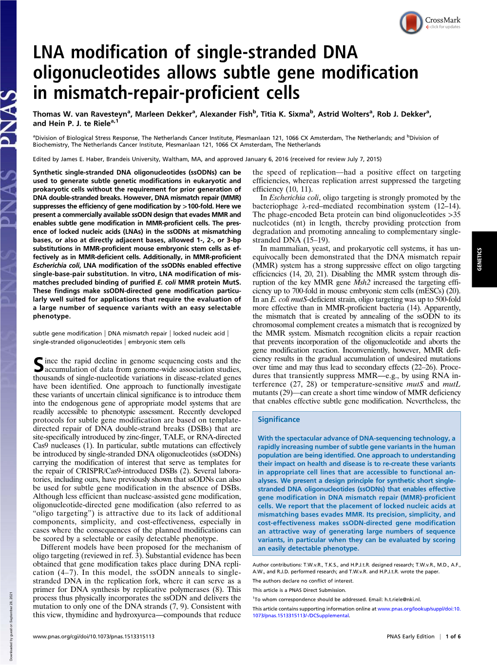 LNA Modification of Single-Stranded DNA Oligonucleotides Allows Subtle Gene Modification in Mismatch-Repair-Proficient Cells