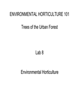 ENVIRONMENTAL HORTICULTURE 101 Trees of the Urban Forest Lab