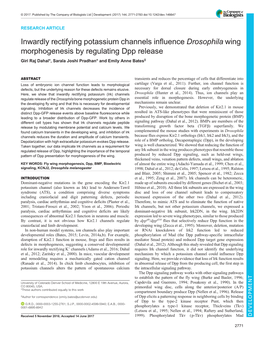 Inwardly Rectifying Potassium Channels Influence Drosophila Wing Morphogenesis by Regulating Dpp Release Giri Raj Dahal*, Sarala Joshi Pradhan* and Emily Anne Bates‡