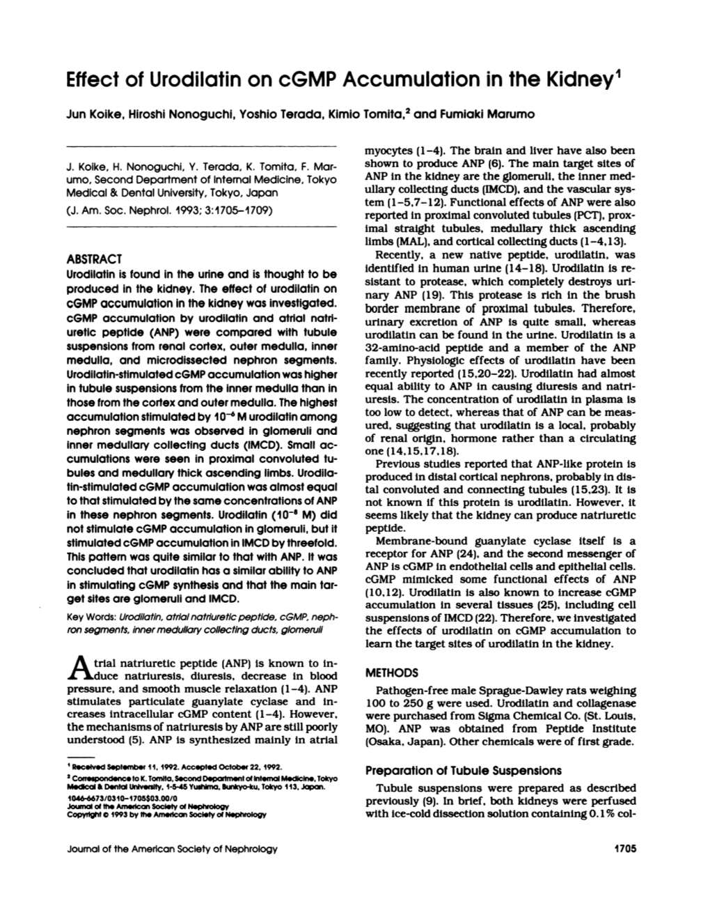 Effect of Urodilatin on Cgmp Accumulation in the Kidney1