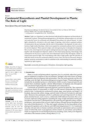 Carotenoid Biosynthesis and Plastid Development in Plants: the Role of Light