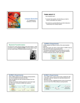 Lesson Overview to Answer That Question, the First Thing You Need to 12.1 Identifying the Know Is What Genes Are Made Of