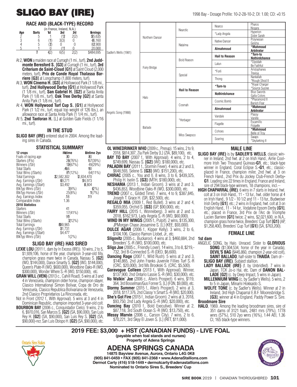 SLIGO BAY (IRE) 1998 Bay - Dosage Profile: 10-2-28-10-2; DI: 1.00; CD: +0.15