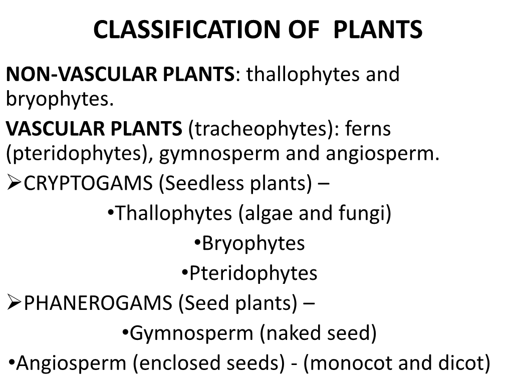 CLASSIFICATION of PLANTS NON-VASCULAR PLANTS: Thallophytes and Bryophytes