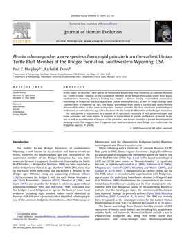 Journal of Human Evolution 57 (2009) 123–130