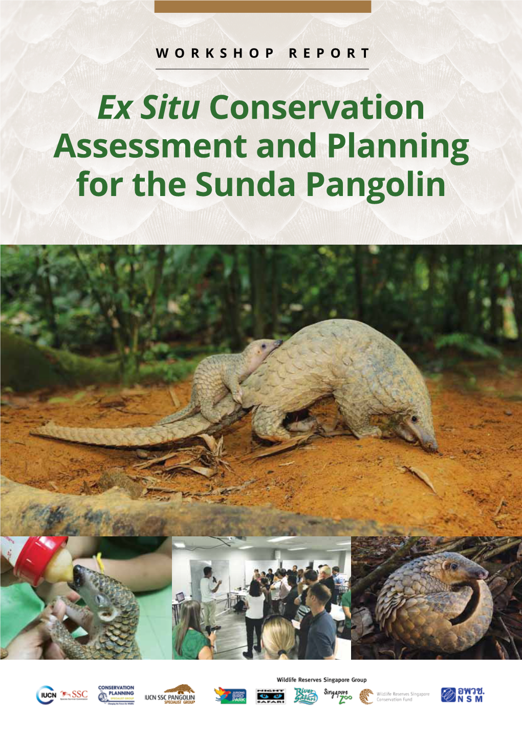 Ex Situ Conservation Assessment and Planning for the Sunda Pangolin