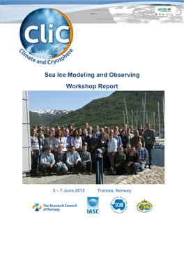 Sea Ice Modeling and Observing Workshop Report