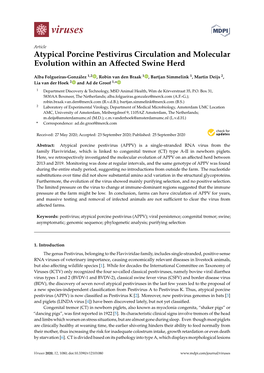 Atypical Porcine Pestivirus Circulation and Molecular Evolution Within an Aﬀected Swine Herd