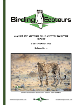 Namibia and Victoria Falls: Custom Tour Trip Report