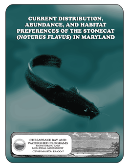 Current Distribution, Abundance, and Habitat Preferences of the Stonecat (Noturus Flavus) in Maryland