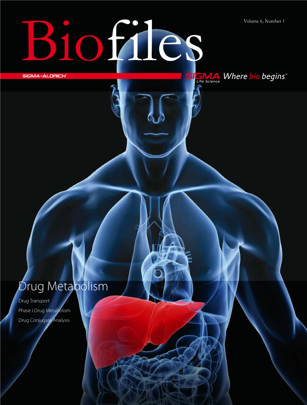 Drug Metabolism