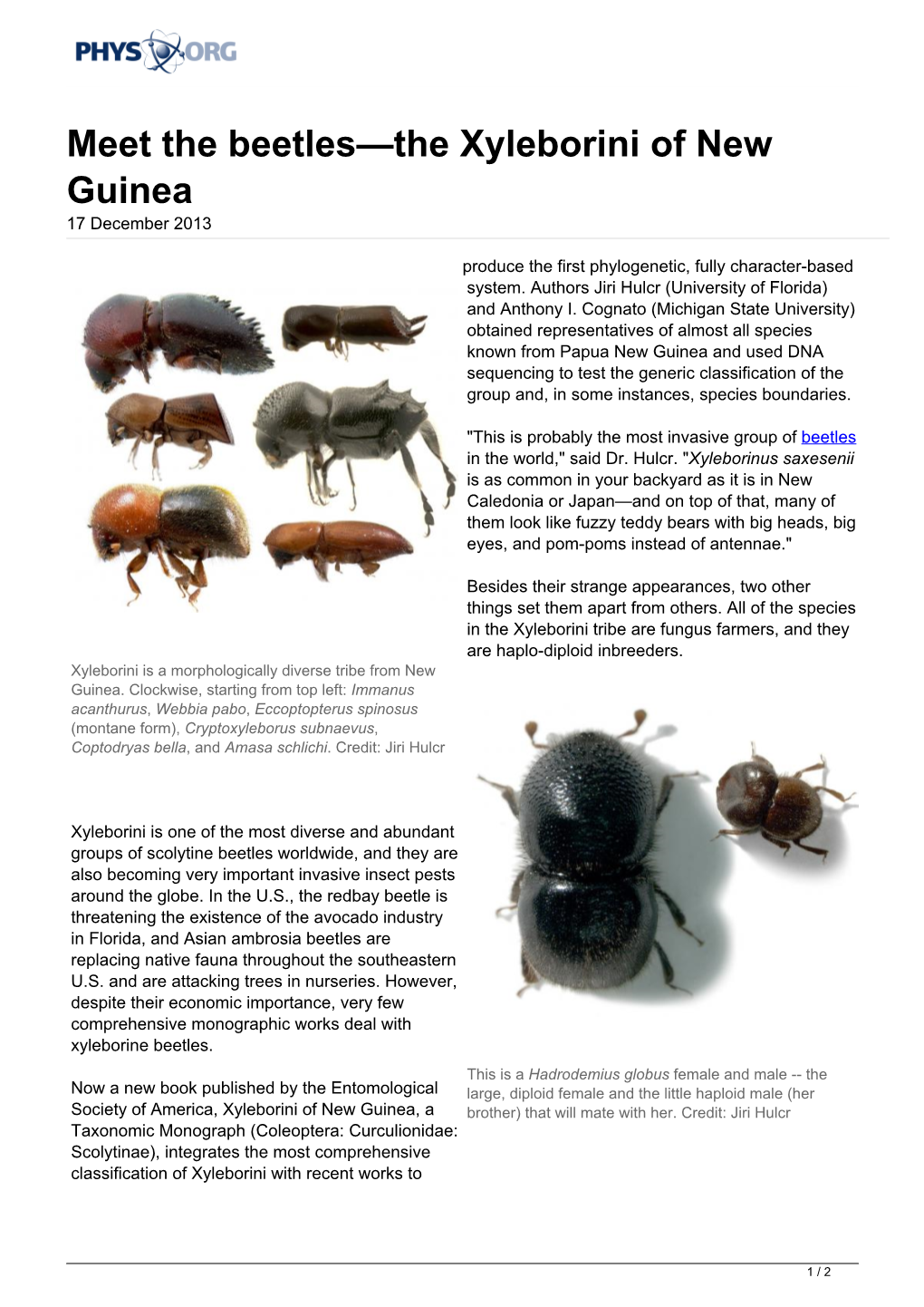 Meet the Beetles—The Xyleborini of New Guinea 17 December 2013