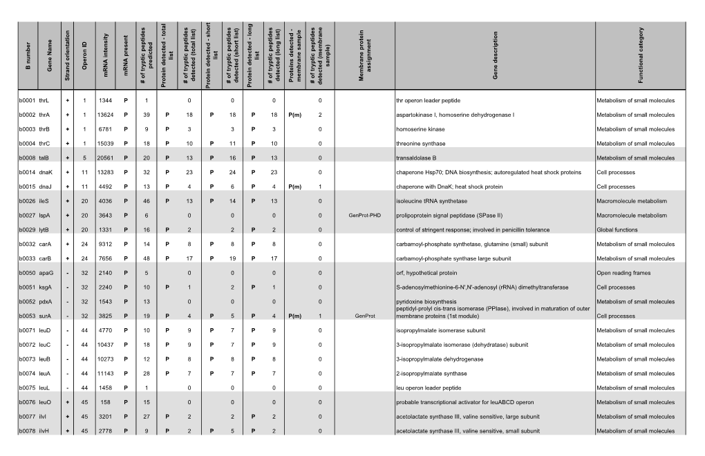 B Number Gene Name Strand Orientation Operon ID Mrna