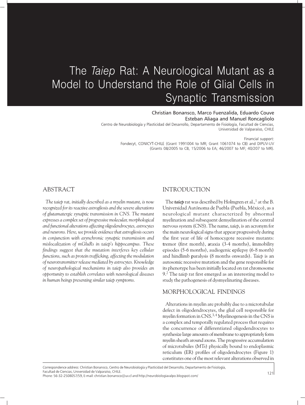 The Taiep Rat: a Neurological Mutant As a Model to Understand the Role of Glial Cells in Synaptic Transmission