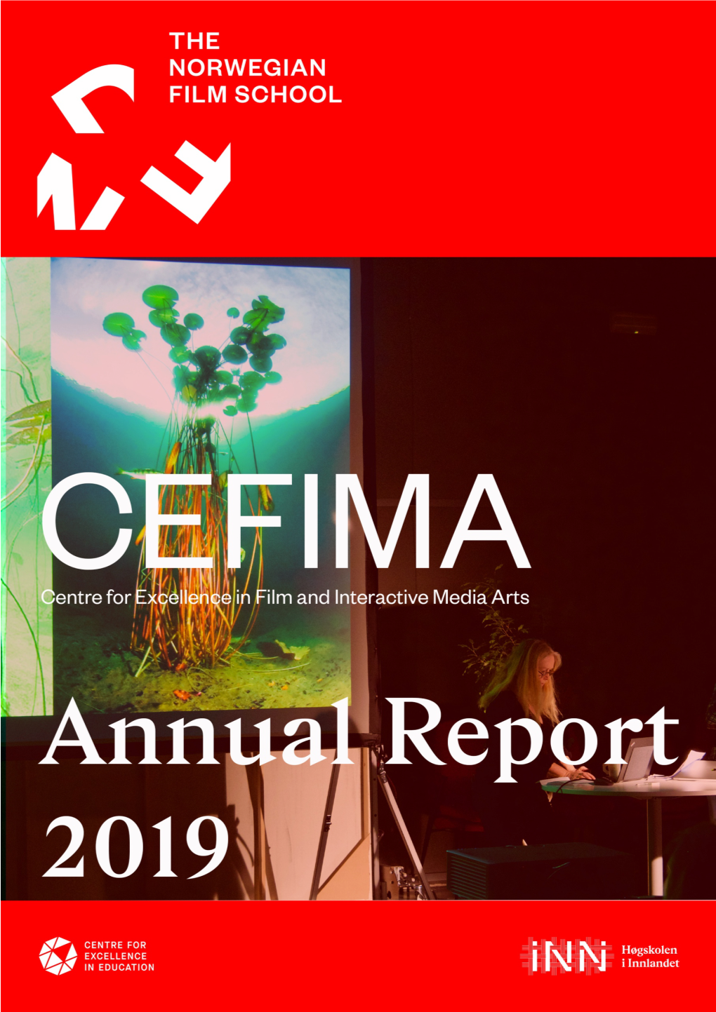 CEFIMA Annual Report 2019