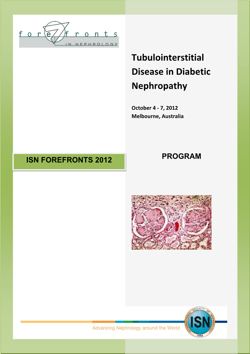 Tubulointerstitial Disease in Diabetic Nephropathy