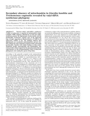 Secondary Absence of Mitochondria in Giardia Lamblia and Trichomonas