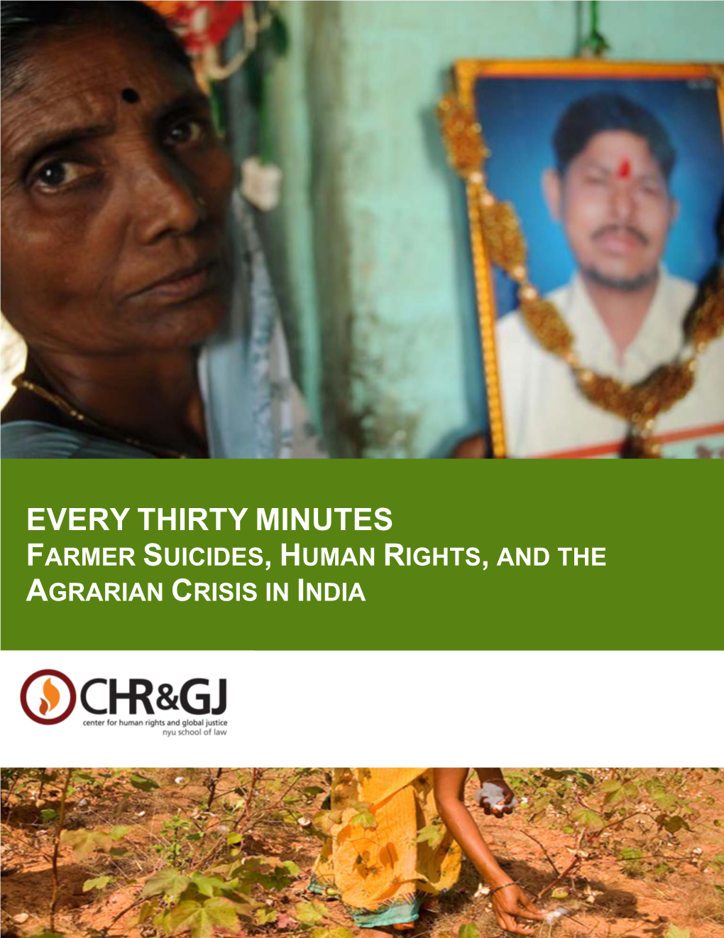 Every Thirty Minutes: Farmer Suicides, Human Rights, and the Agrarian Crisis in India