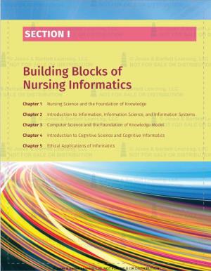Building Blocks of Nursing Informatics
