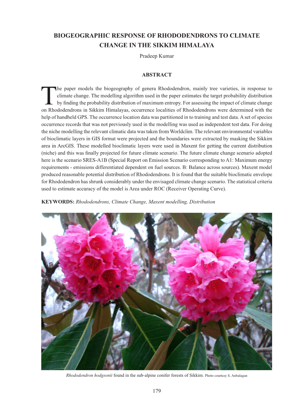 BIOGEOGRAPHIC RESPONSE of RHODODENDRONS to CLIMATE CHANGE in the SIKKIM HIMALAYA Pradeep Kumar