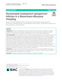 Disseminated Scedosporium Apiospermum Infection in A