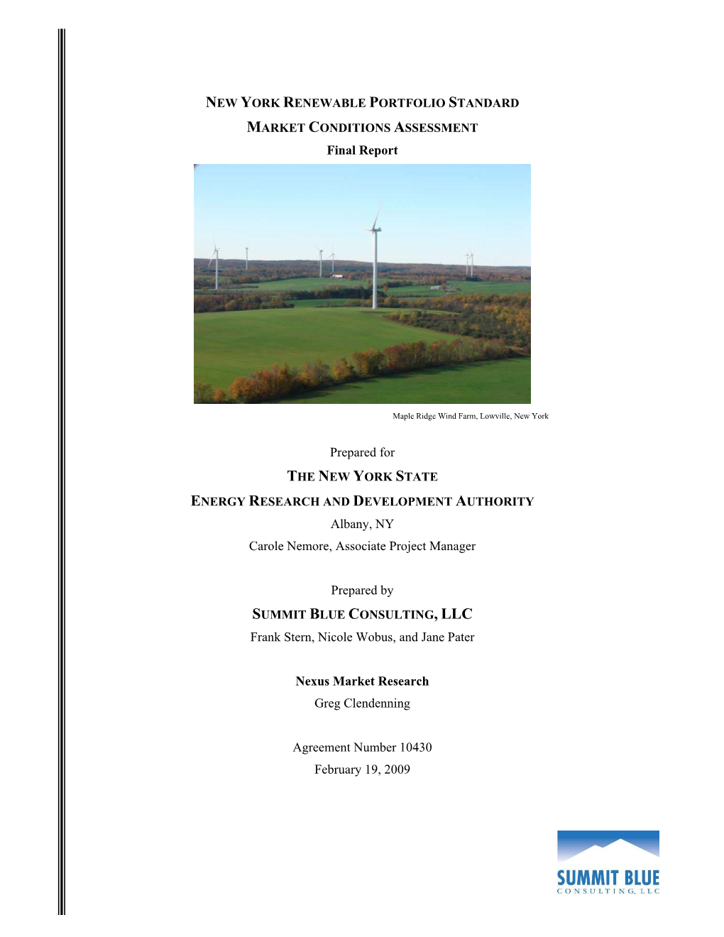 Final Report Prepared for Albany, NY Carole Nemore, Associate Project