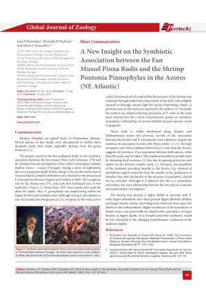 A New Insight on the Symbiotic Association Between the Fan Mussel Pinna Rudis and the Shrimp Pontonia Pinnophylax in the Azores (NE Atlantic)