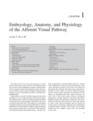 Embryology, Anatomy, and Physiology of the Afferent Visual Pathway