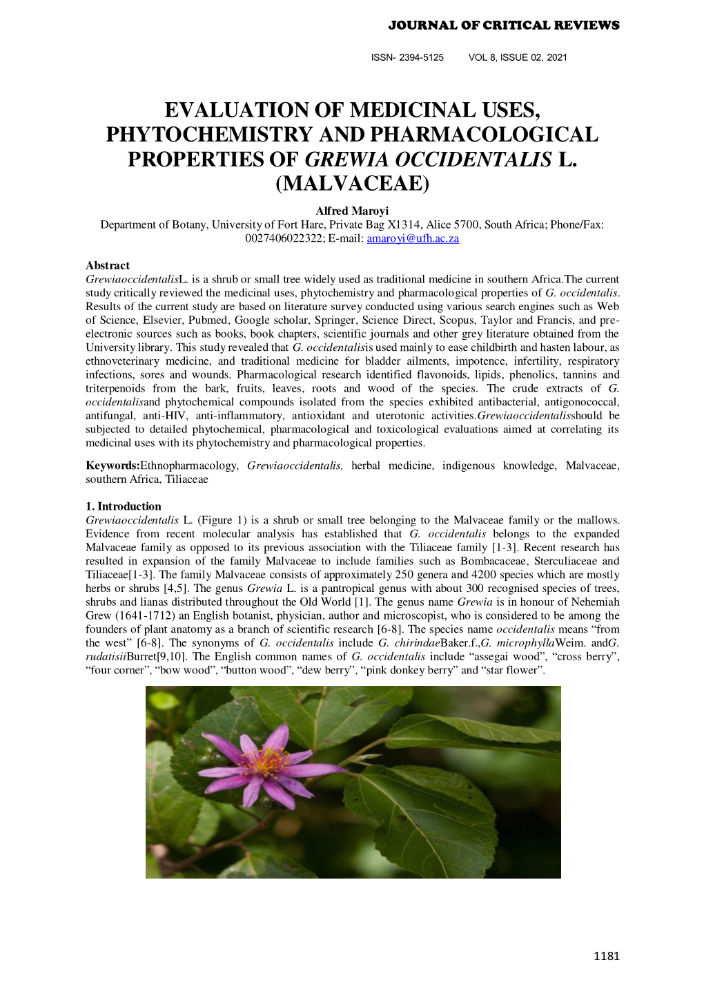 Evaluation of Medicinal Uses, Phytochemistry and Pharmacological Properties of Grewia Occidentalis L
